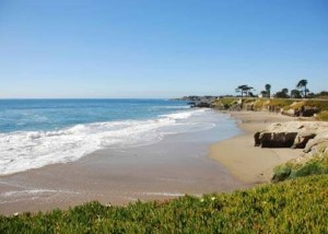 san-fran-santa-cruz-coastline