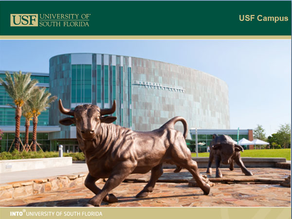 University of South Florida