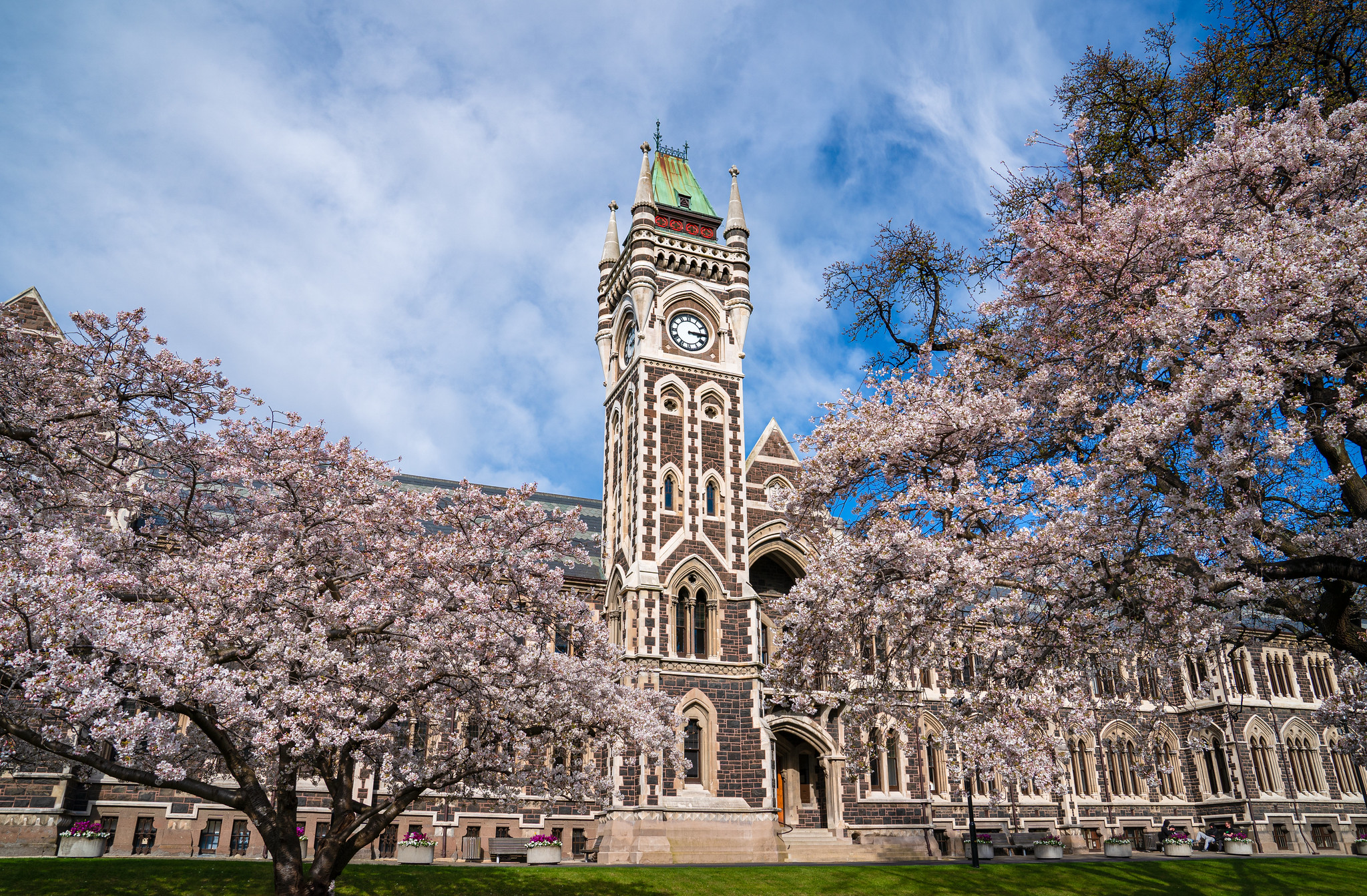 เรียนต่อปริญญาตรี University of Otago ประเทศนิวซีแลนด์ - ปรึกษาแนะแนวฟรี!