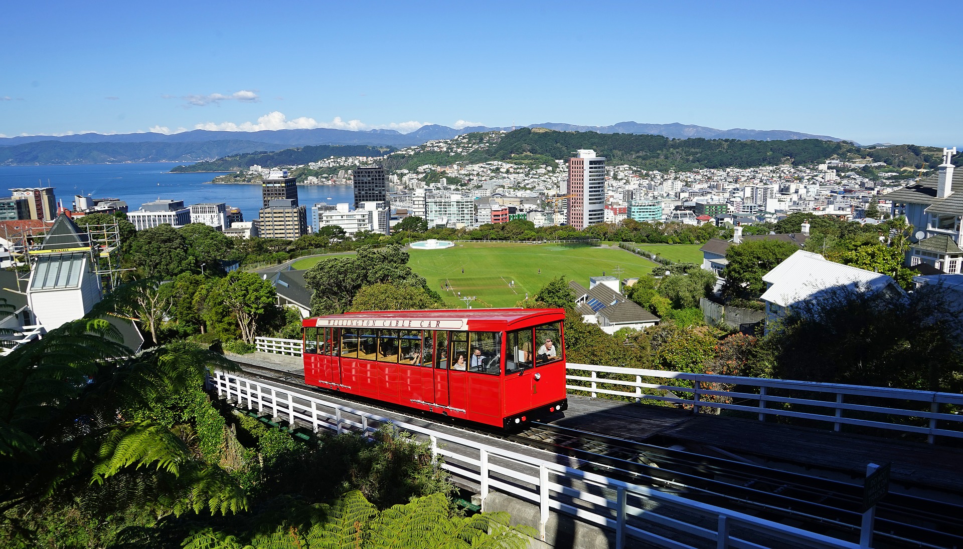  Wellington 
