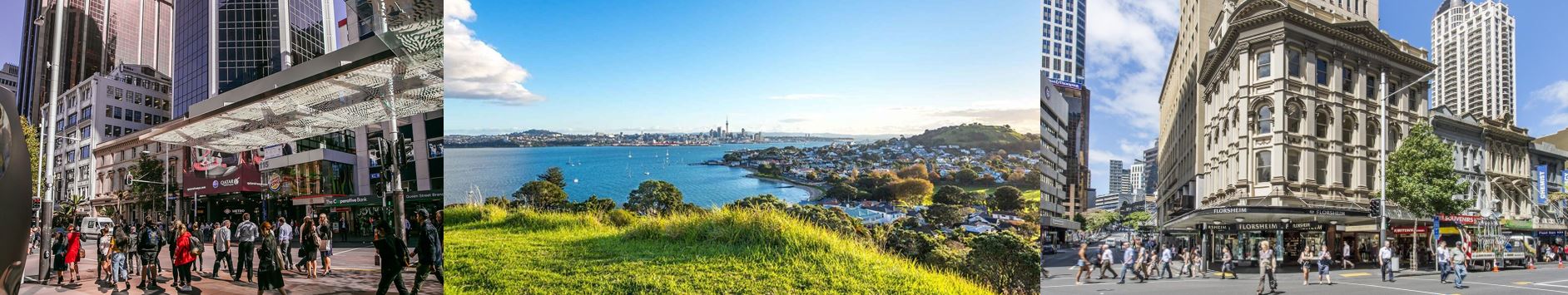 City Tour Auckland City Tour Auckland